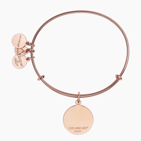 NWT ALEX AND ANI Mind Over Matter Charm Bangle - Picture 3 of 5